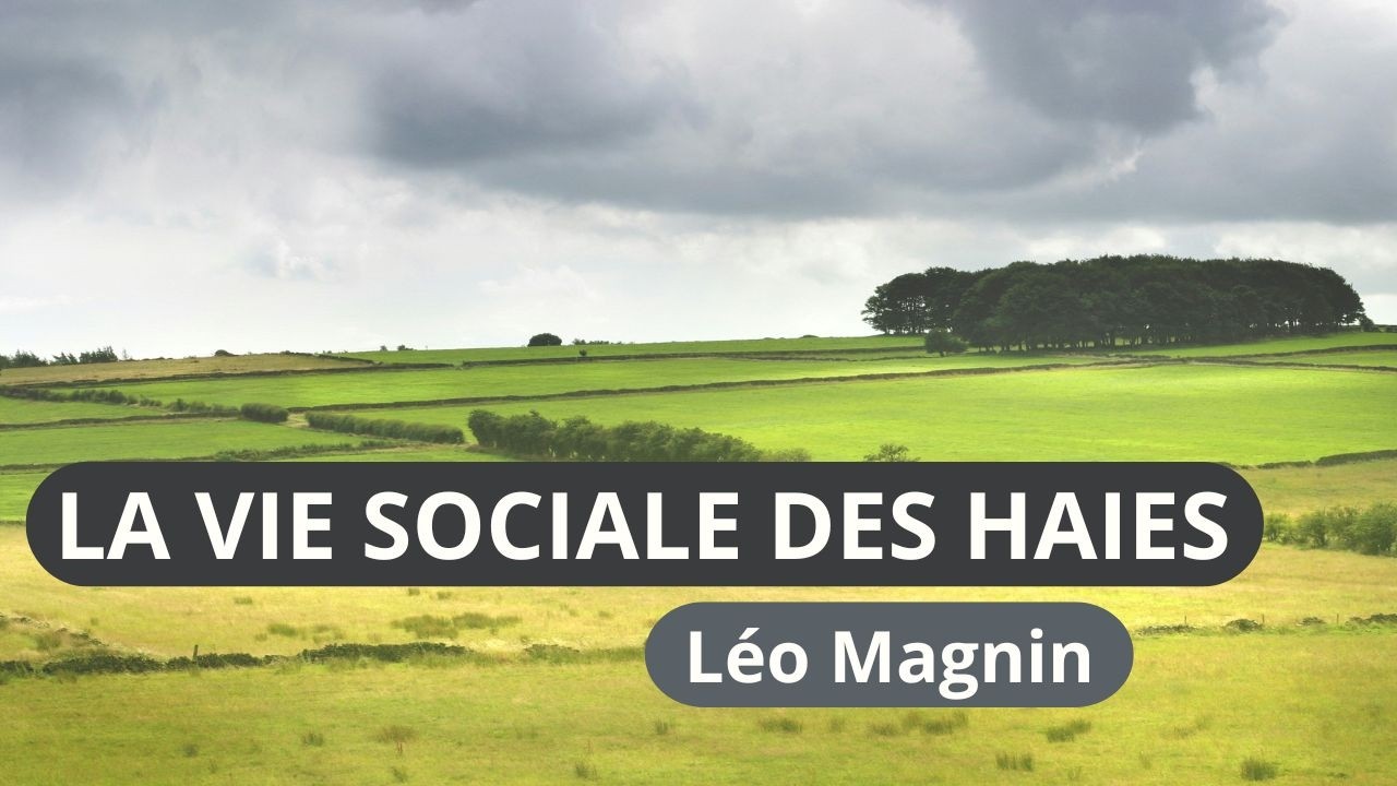 La vie sociale des haies - Léo Magnin