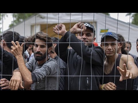 Lituanie : les nouvelles lois sur l'asile inquiètent le Conseil de l'Europe
