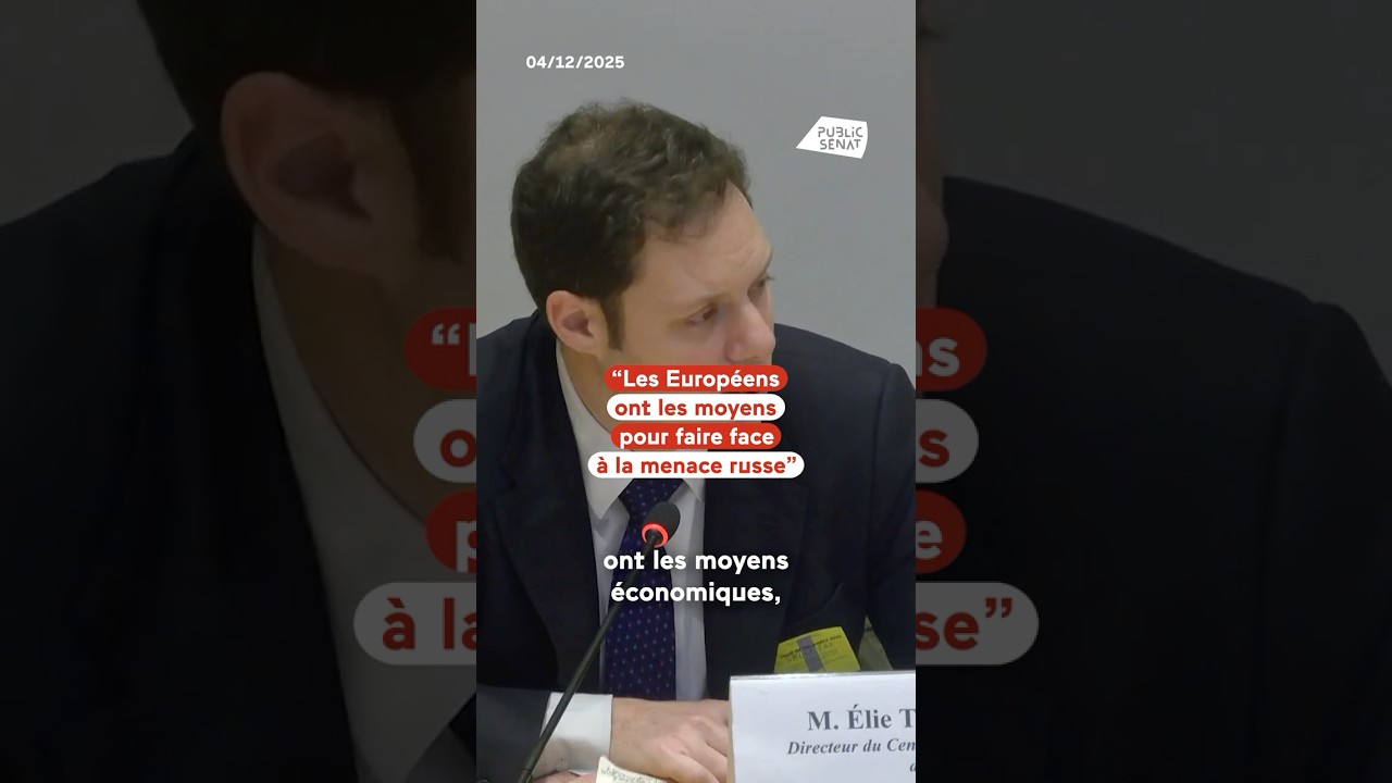 « Les Européens ont les moyens pour faire face à la menace russe »